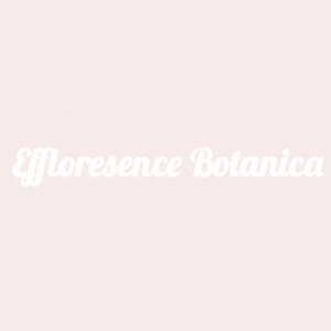Efflorescence Botanica